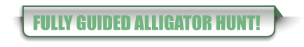 FULLY GUIDED ALLIGATOR HUNT!
