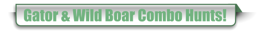 Gator & Wild Boar Combo Hunts!